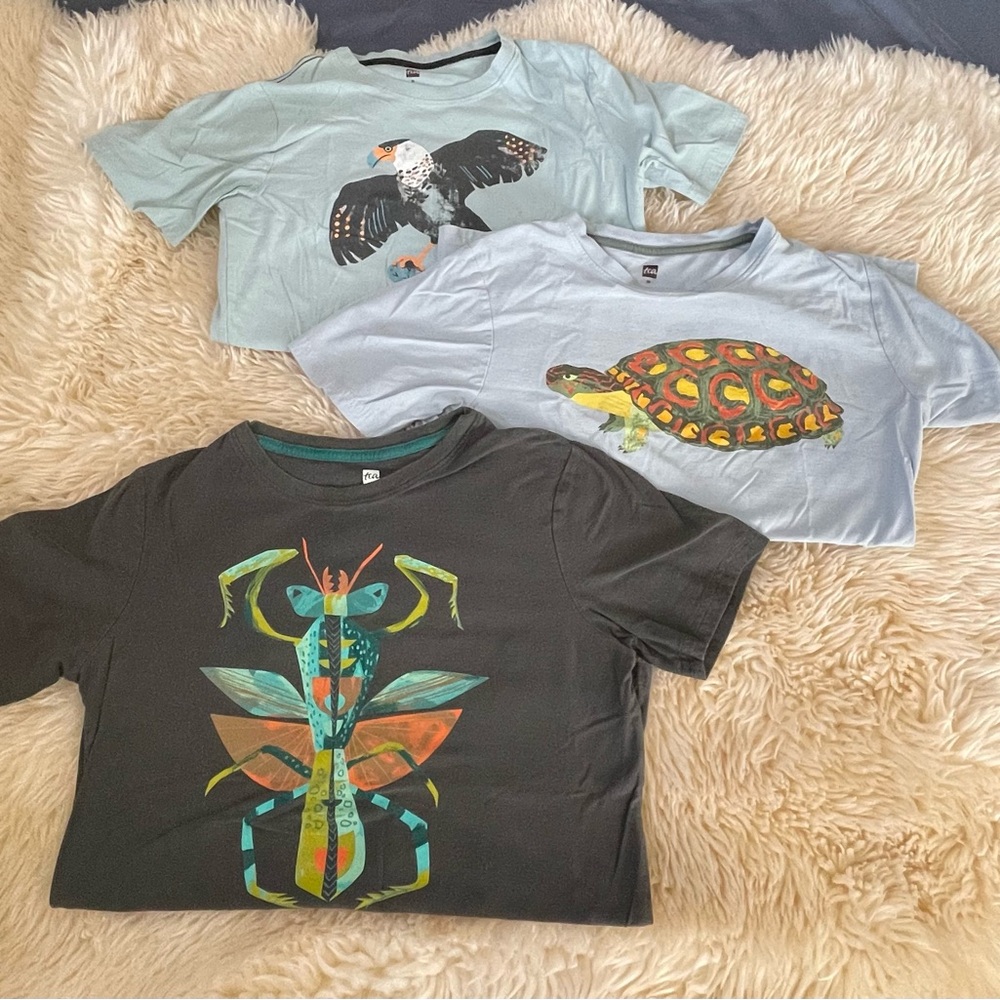 Set of 3 boys Tea graphic print t-shirts size 16